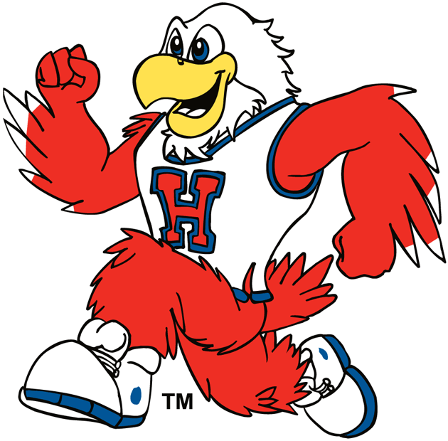 hartford hawks 1984-pres mascot logo DIY iron on transfer (heat transfer) fabric transfer
